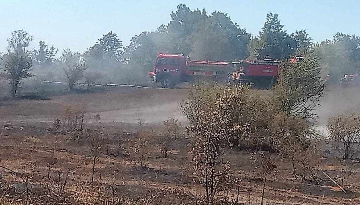 Bilecik'te Alevler İçinde Kalan Arazi: Yangın Alarmı!