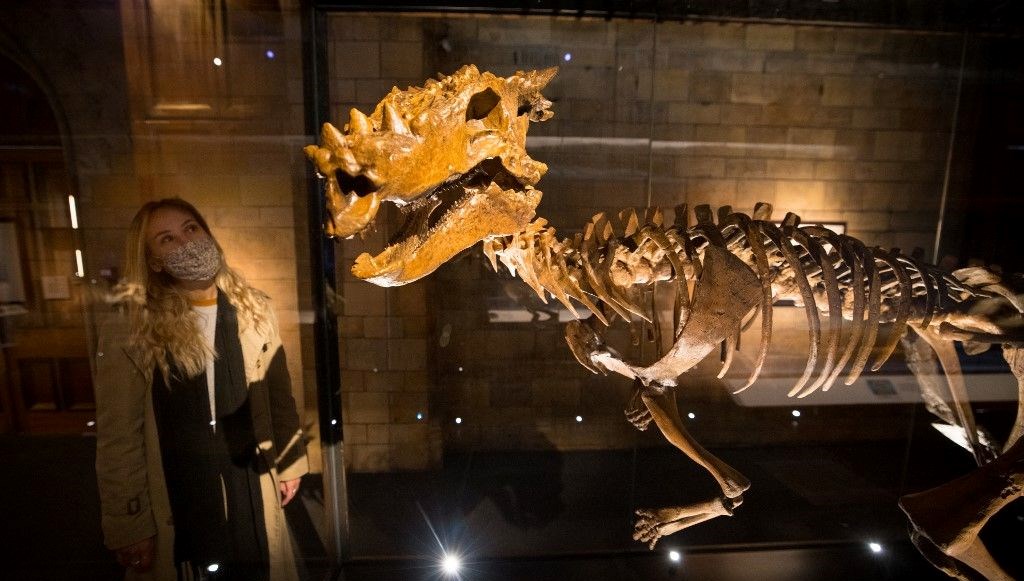 Dinozorların Tarih Sahnesine Çıkan En Eski Fosil: 108 Milyon Yıllık Keşif!