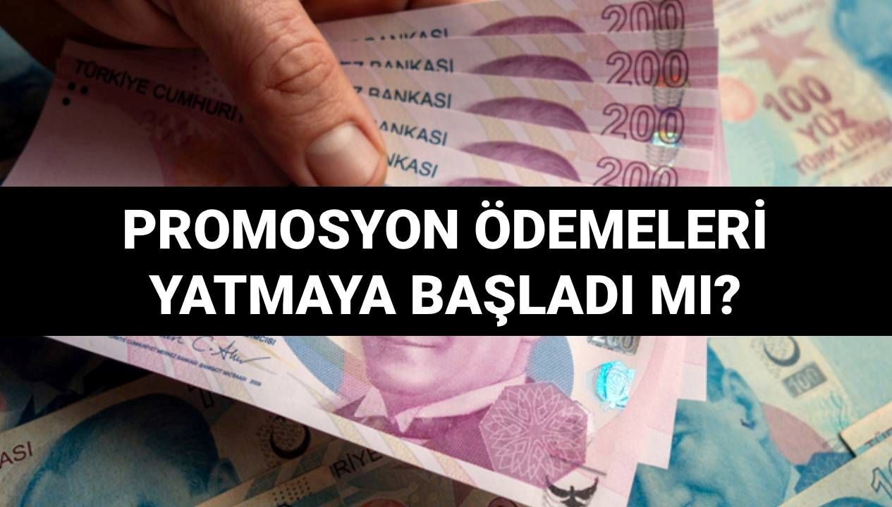 2025'te Adalet Bakanlığı Promosyon Ödemeleri: Sorgulama Tarihleri Neler?
