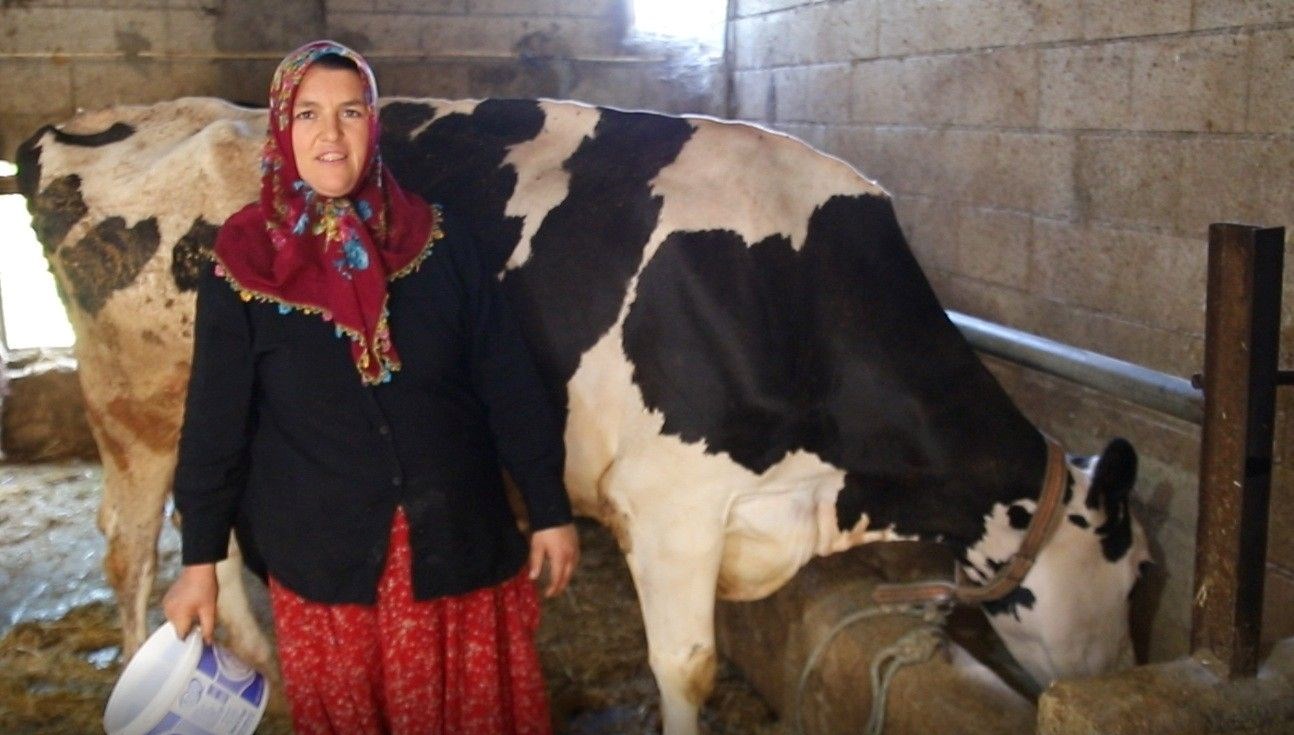 İki İnekle Başlayan Yolda, 17’nin Üzerine Çıktı: Yeni Otomobilin Sahibi Oldu!