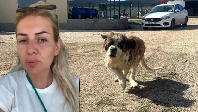Kuduz Köpek Davasında Sonuç: Buket Özgünlü Boyacı Hakkında Verilen Karar