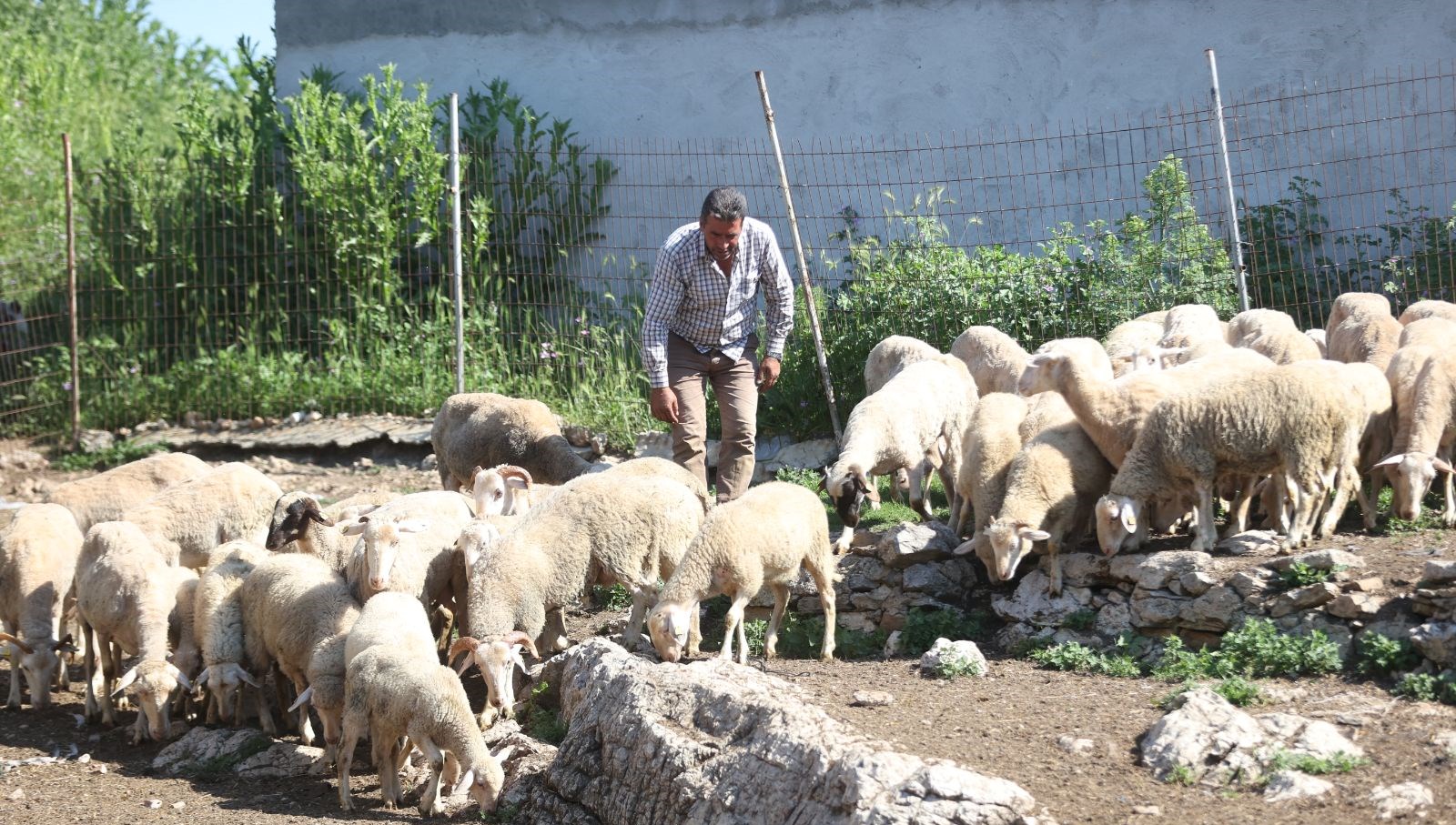 Köyünde huzuru buldu: Devlet katkısıyla yeni bir işe adım attı!