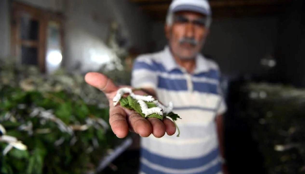 İpeğin Kalbi: Üretimde Yüzde 15'lik Büyüme Gerçekleşti!