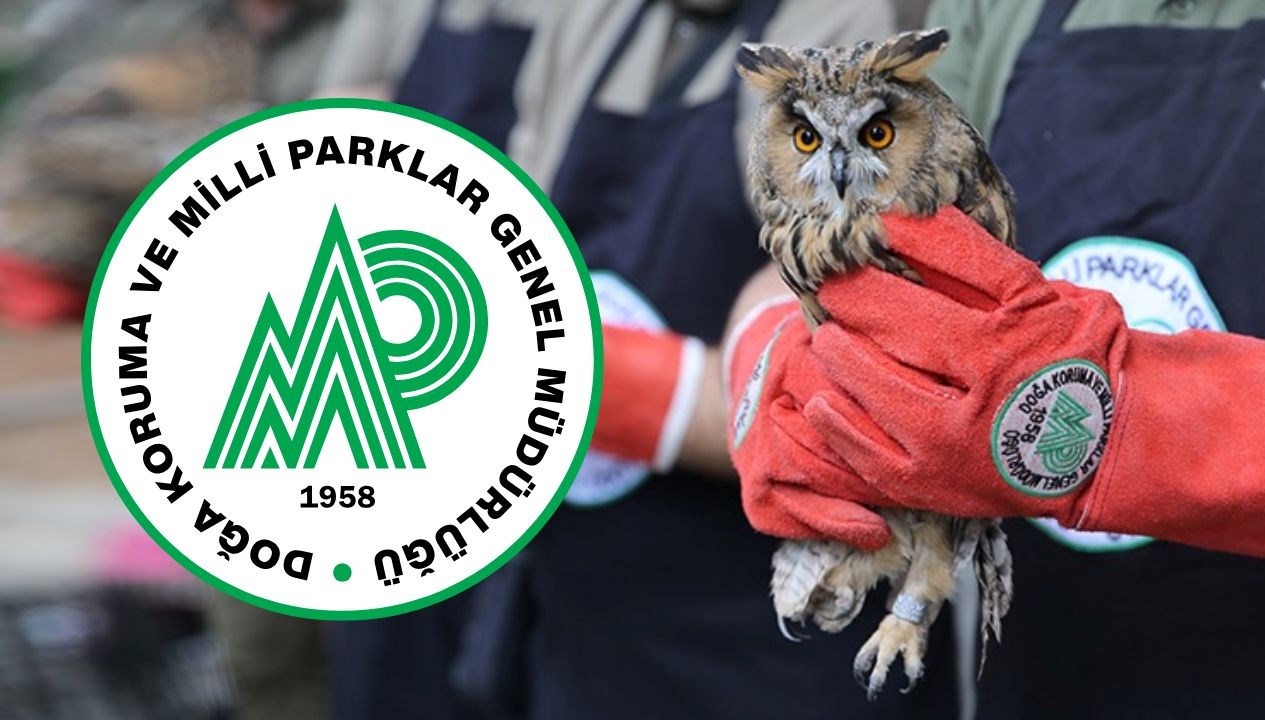 2025’te Doğa Koruma ve Milli Parklar’a 240 Yeni Personel: Başvuru Süreci ve Gereken Şartlar Burada!