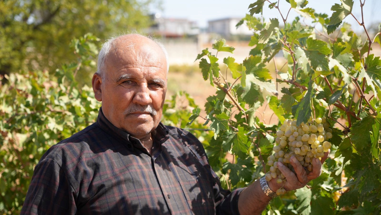 Başarılarının Sırrı: Baba ve Oğulun Yıllar Süren Emeğiyle Kurulan İşletme