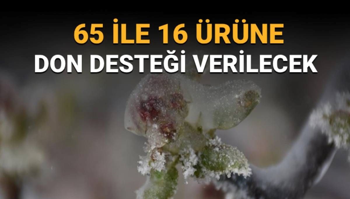 Tarım Bakanlığı'ndan Müjdeli Açıklama: Zirai Don Desteği Ne Zaman ve Kimlere Ulaşacak?