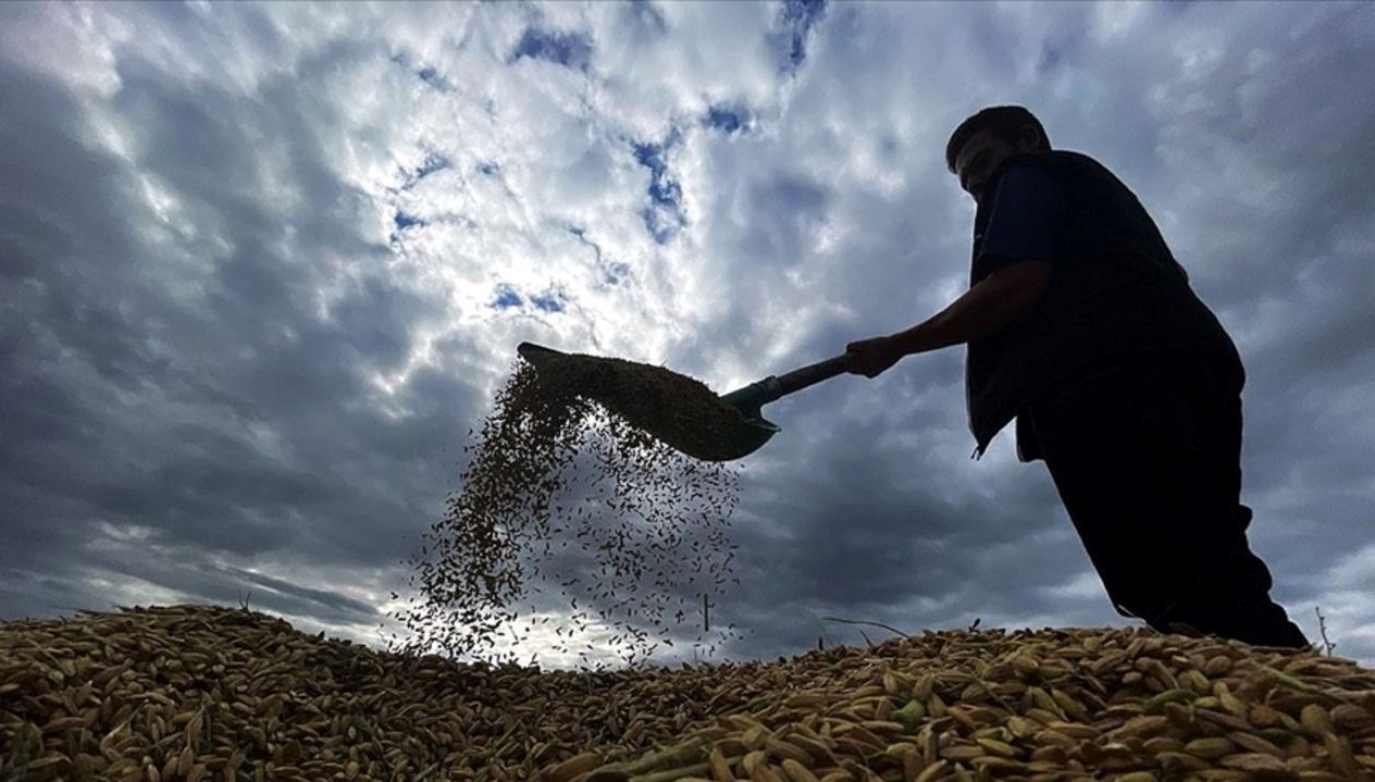Çiftçilere 471,6 Milyon Lira Destek Ödemesi Bugün Hesaplara Geçiyor!