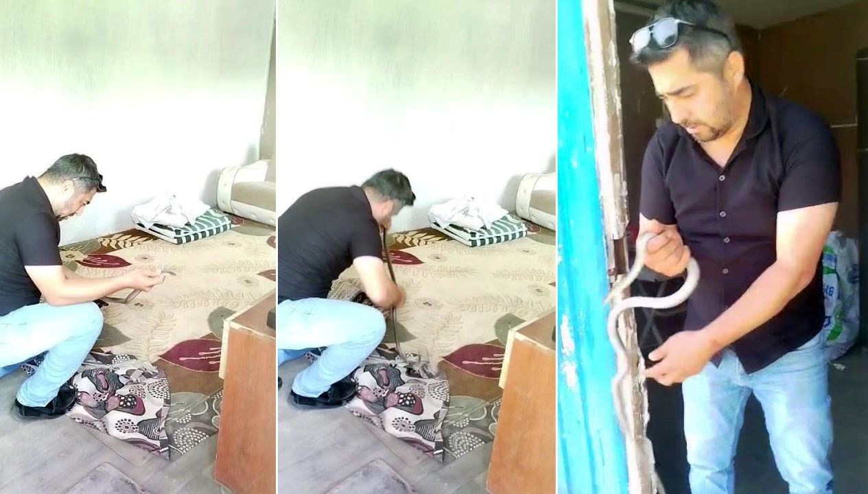 Yılancı Kemal Aksiyon Peşinde: Eldiven Yok, Yılanı Elle Yakaladı!