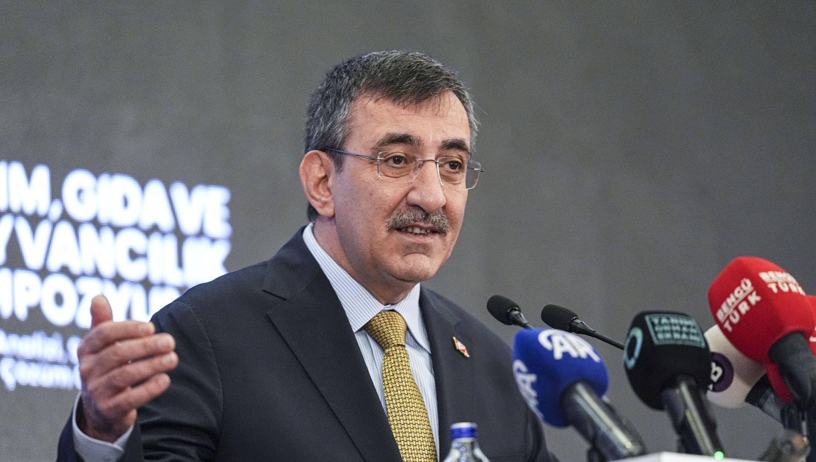 Cevdet Yılmaz: Hükümette Yeni Dönem,