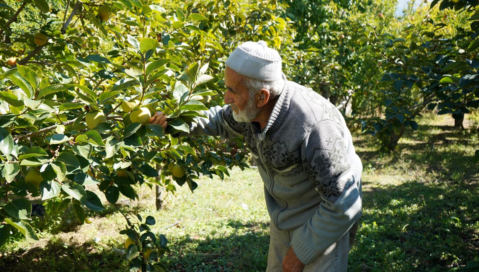 İbrahim Dedenin 30 Yıllık Hayır Bahçesi: 85 Yaşında Ücretsiz Destek Sunuyor!