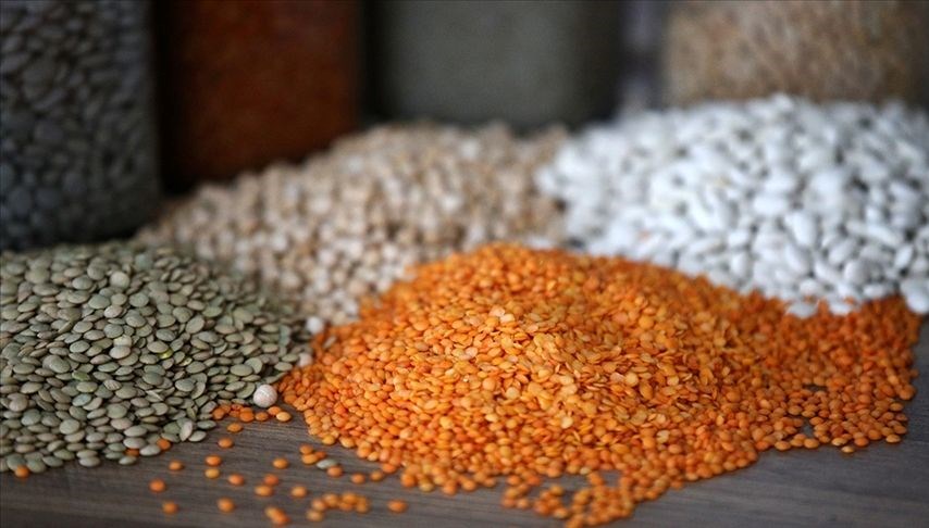 Hububat ve Bakliyat İhracatında Yüzde 4.2'lik Büyüme Gerçekleşti!