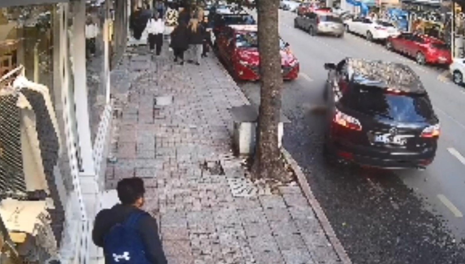 Kuki'yi ezip giden sürücü paniğe neden oldu!