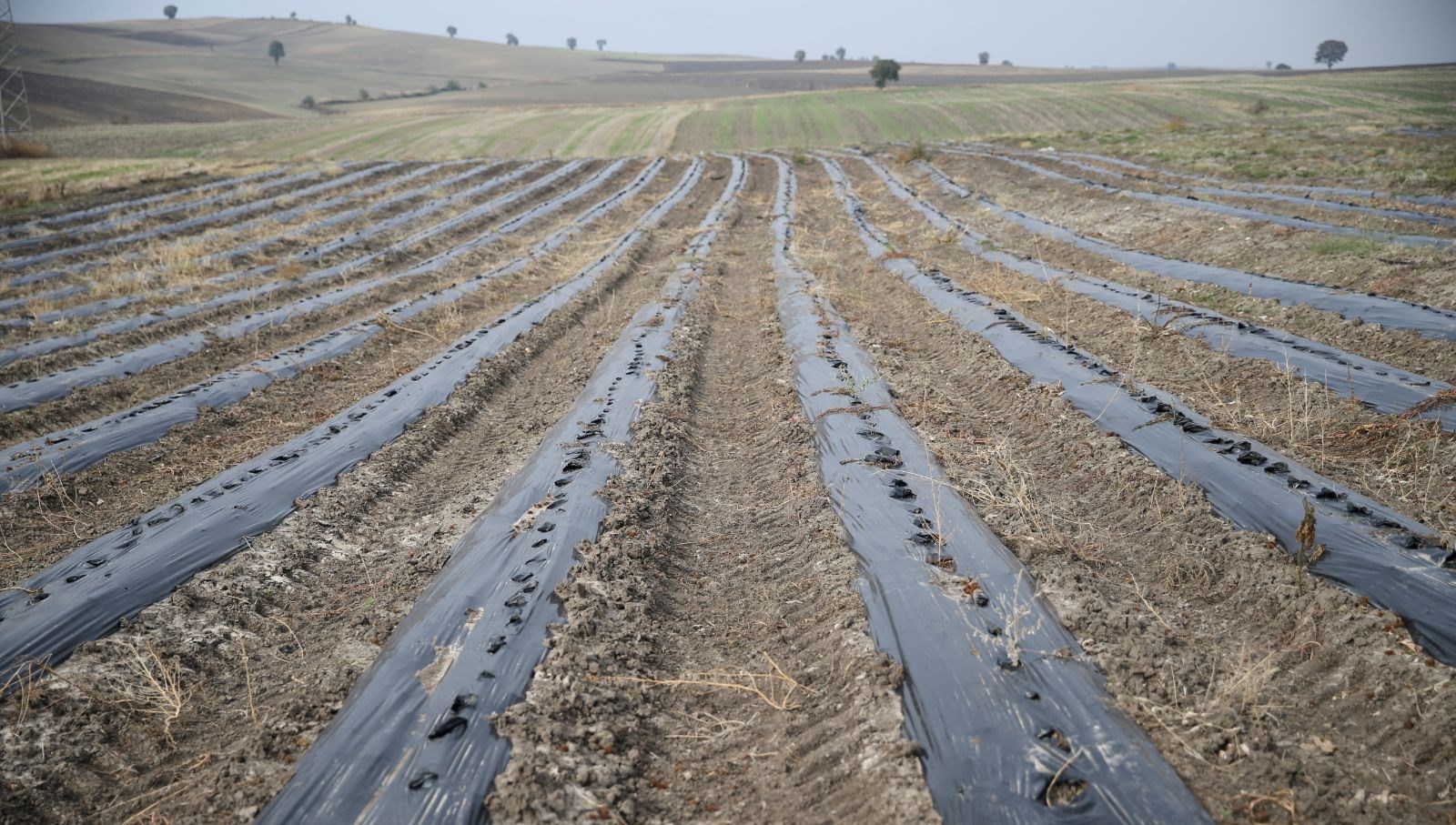 Edirne'den Osmanlı'ya: Casusluk Hikayesine Dönüşen Ekonomik Miras