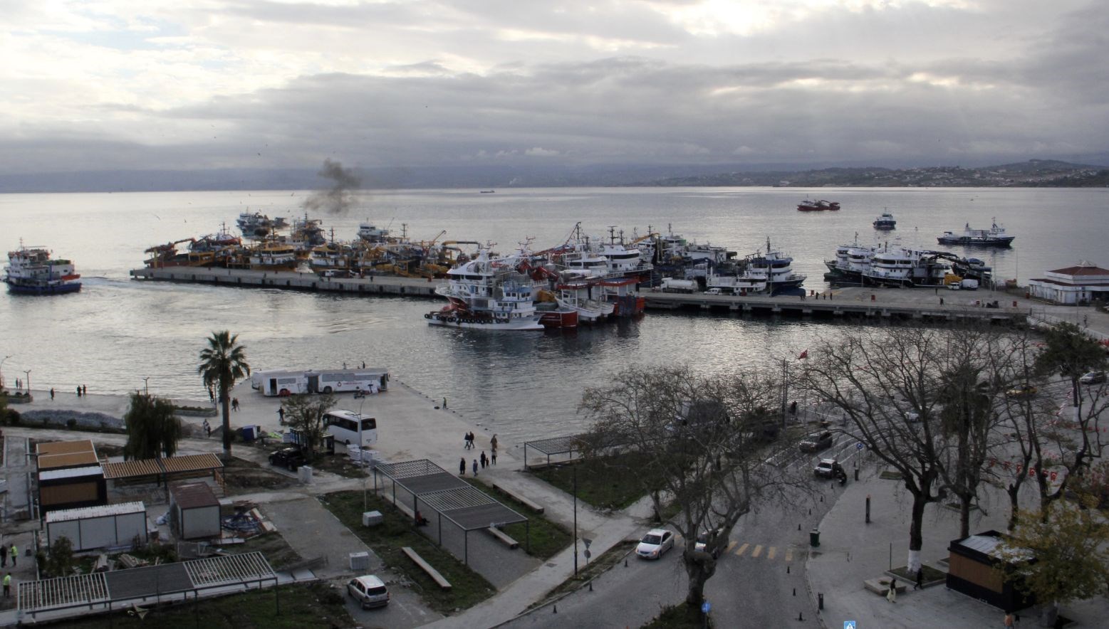 Karadeniz'de Şenlik Var: Balıkçılar Bu Sezon Gülümsemekten Hız Kesemiyor!