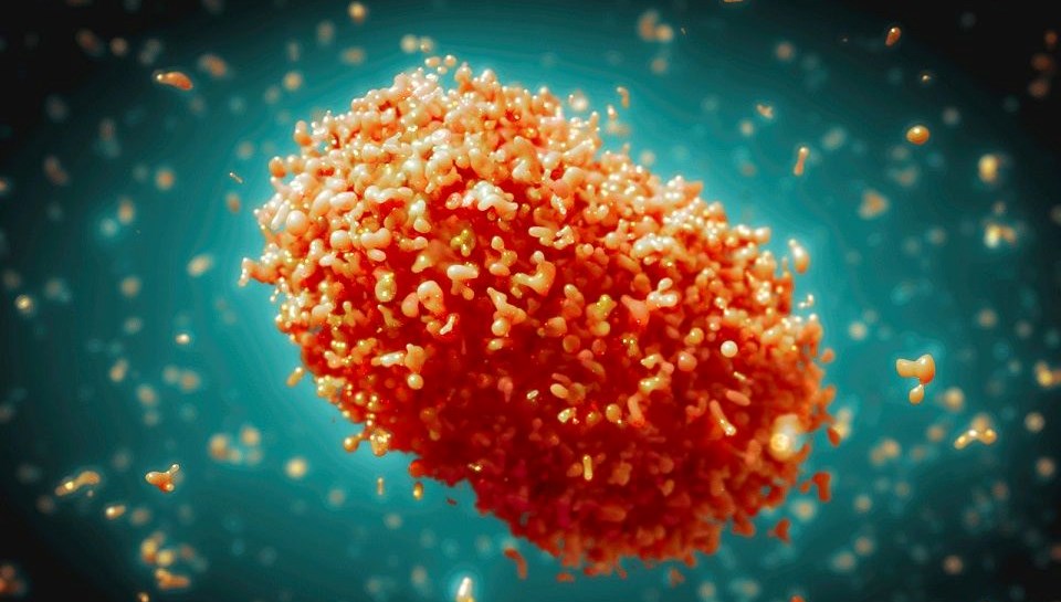 DSÖ'den Korkutucu Uyarı: M Çiçeği Varyantı Afrika Dışına Taşındı!