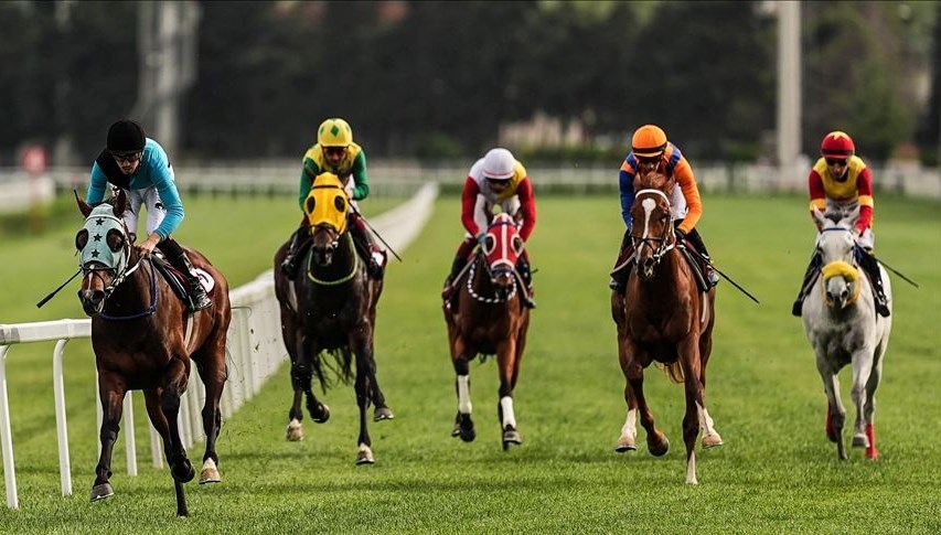 Cumhuriyet ve Cumhurbaşkanlığı Koşuları: At Yarışlarında Heyecan Dorukta!
