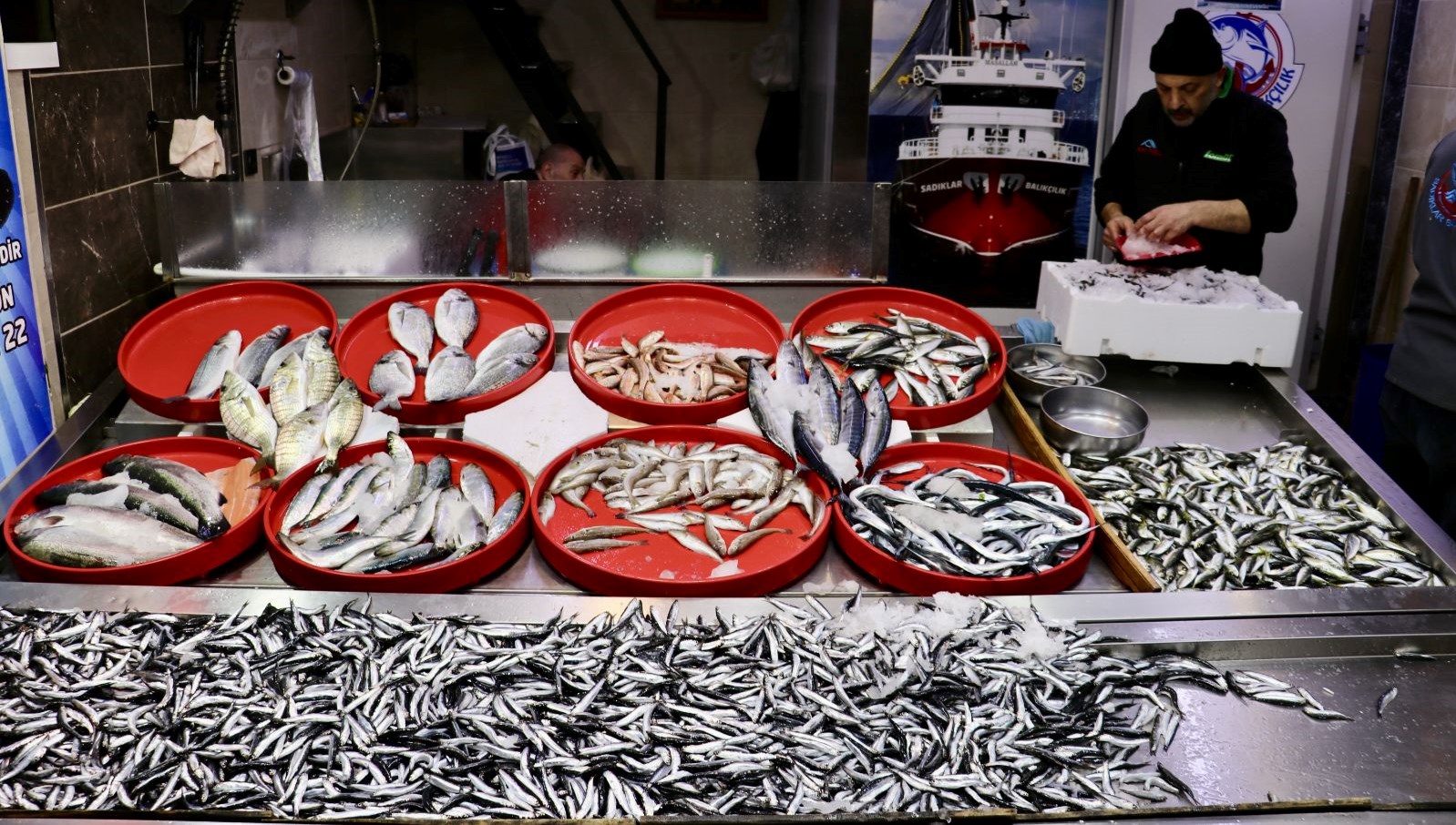 75 Lira ile Tezgahlarda: Balıkçılara Bereket Yağmuru!