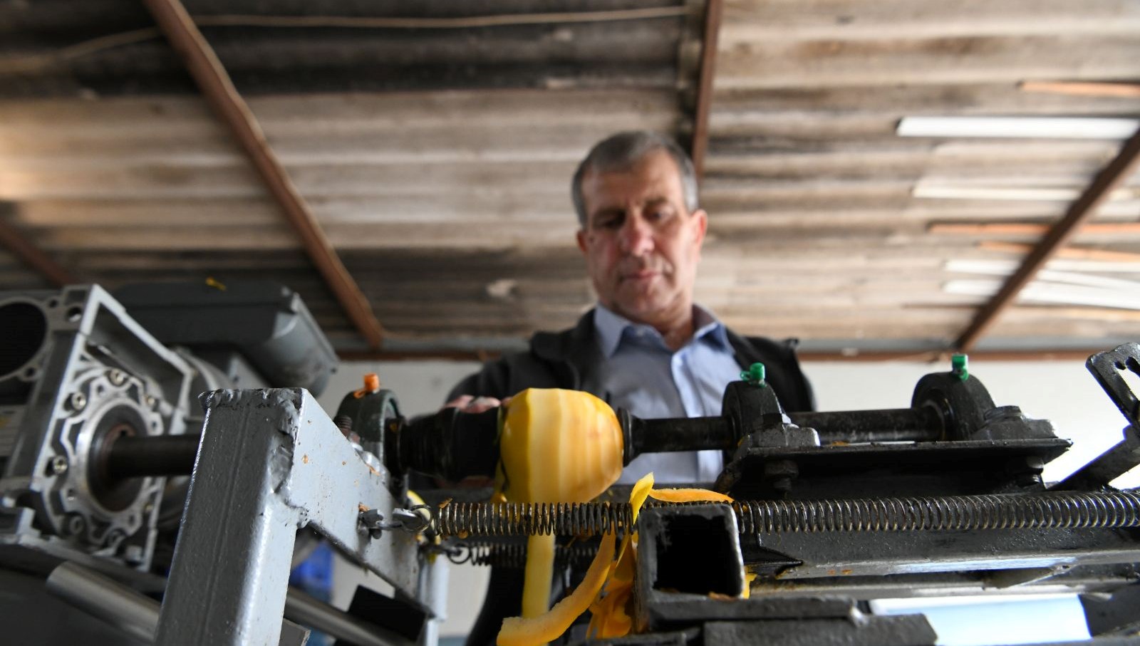 Japon Elmasının Yükselişi: 8 Yılda Kazancını İki Katına Çıkardı!