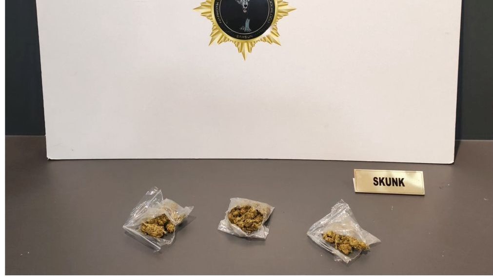 Samsun'da Uyuşturucu Çılgınlığına Bastırma: 9 Kişi Gözaltında