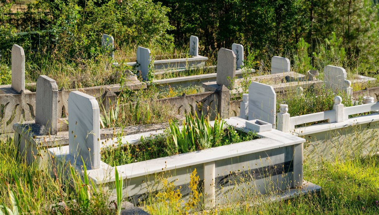 Hayaletlerin Mülk Oyunu: 100 Milyon Liralık Tapu Dolandırıcılığı!